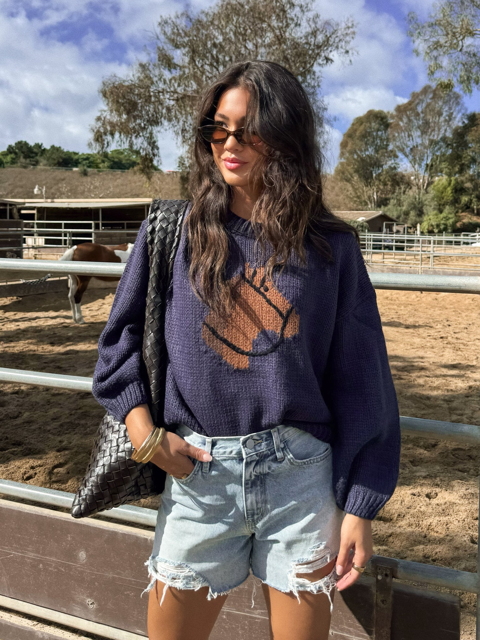 Bonnie Horse Knit Sweater