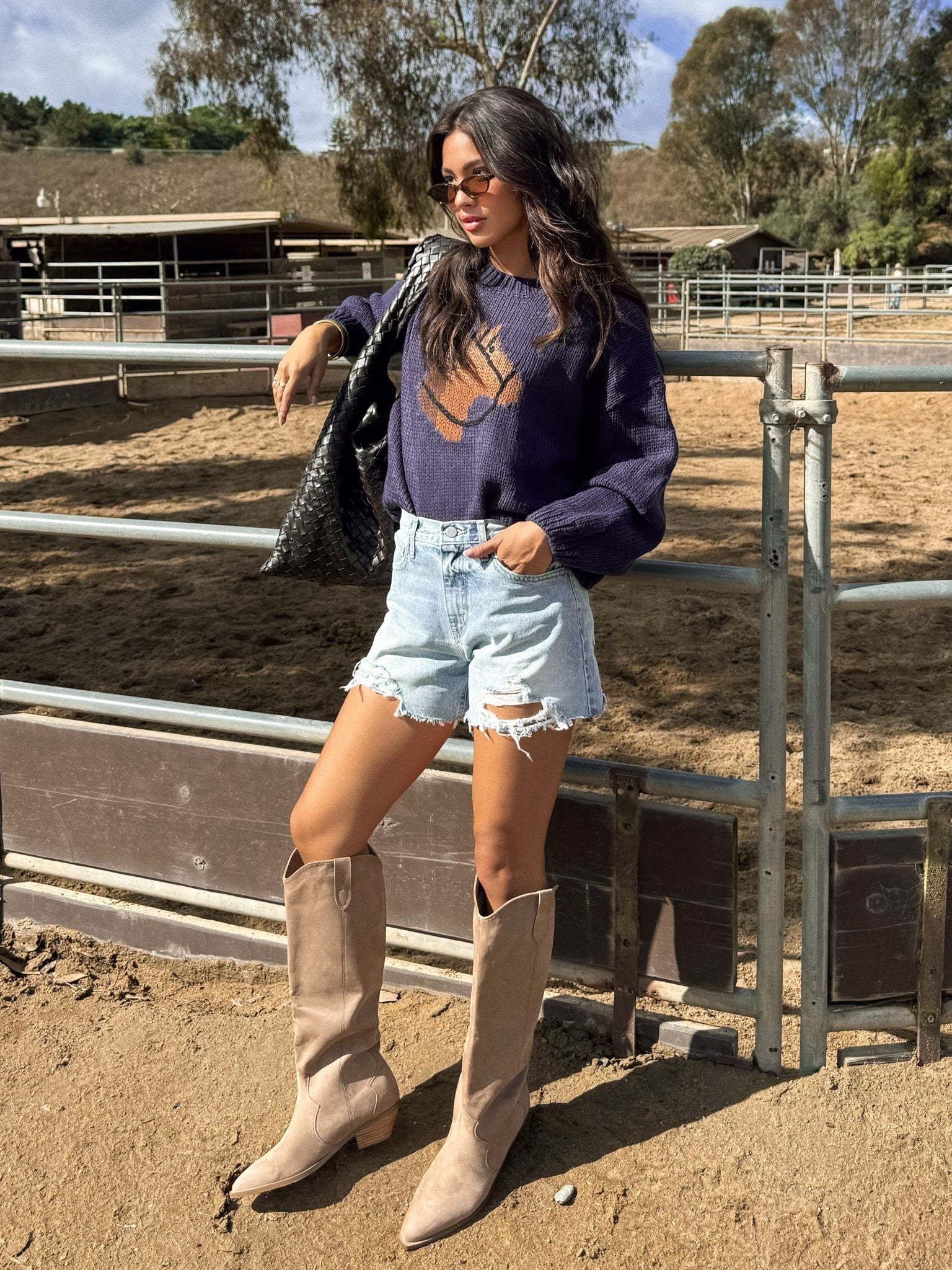 Bonnie Horse Knit Sweater